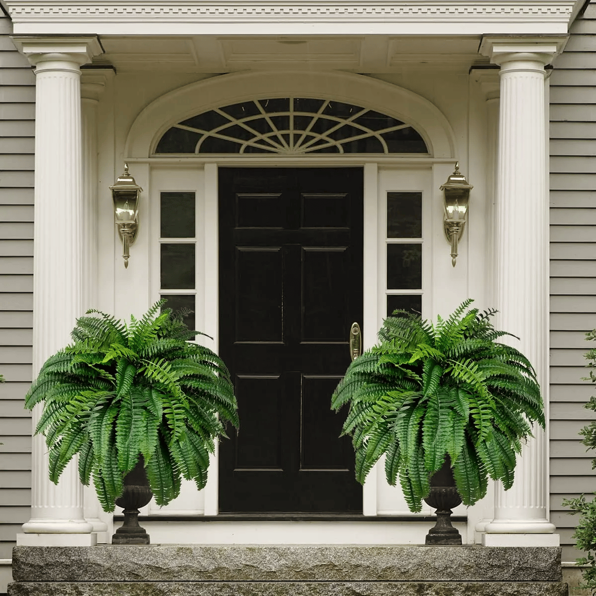 Forever Fresh Fern – Lush Greenery That Lasts Forever - 60% OFF